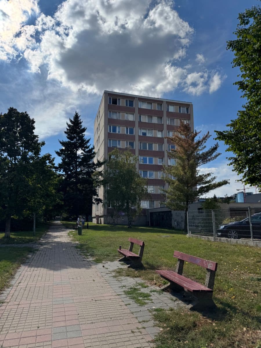 1 bedroom with open-plan kitchen flat to rent, 41 m², Na Úlehli, Prague, Prague 1 bedroom with open-plan kitchen flat to rent, 41 m², Na Úlehli, Prague, Prague