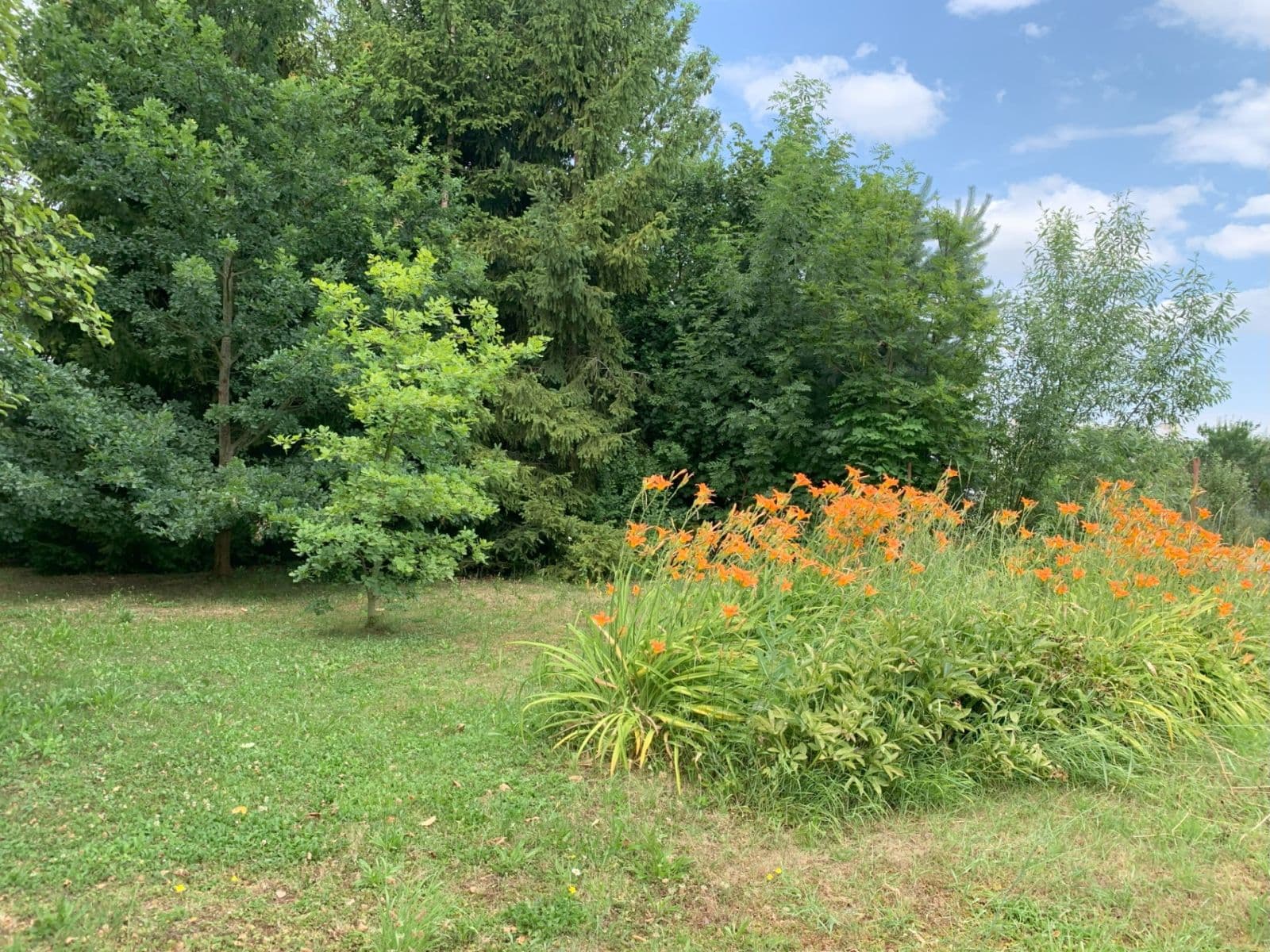 house for sale, 200 m², Požárníků, Dolní Bousov, Středočeský Region house for sale, 200 m², Požárníků, Dolní Bousov, Středočeský Region