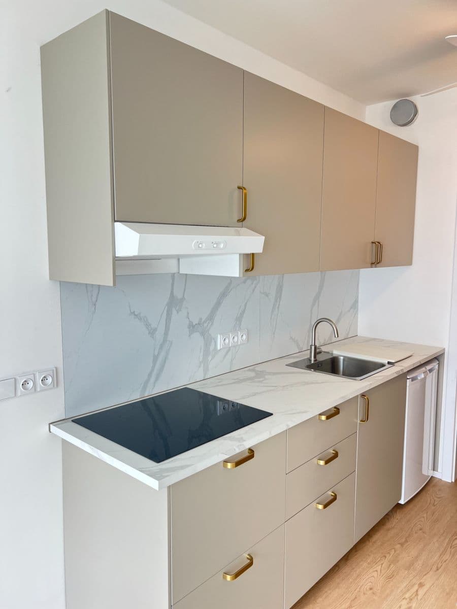 Studio flat to rent, 29 m², třída Generála Píky, Brno, Jihomoravský Region Studio flat to rent, 29 m², třída Generála Píky, Brno, Jihomoravský Region