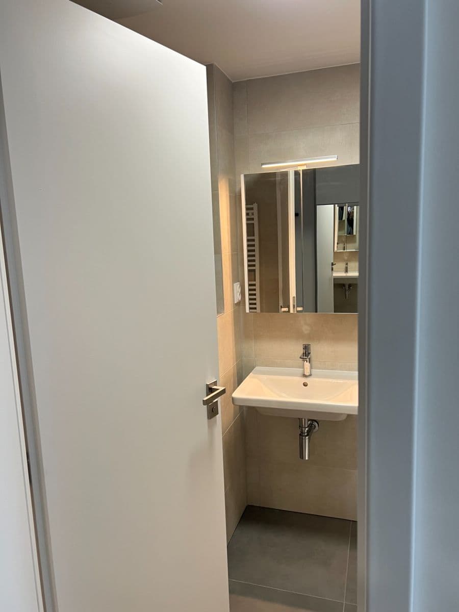 Studio flat to rent, 29 m², třída Generála Píky, Brno, Jihomoravský Region Studio flat to rent, 29 m², třída Generála Píky, Brno, Jihomoravský Region