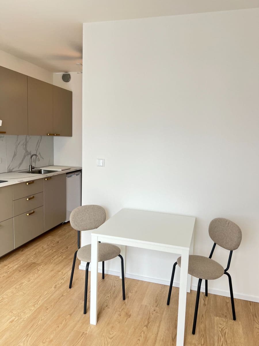 Studio flat to rent, 29 m², třída Generála Píky, Brno, Jihomoravský Region Studio flat to rent, 29 m², třída Generála Píky, Brno, Jihomoravský Region