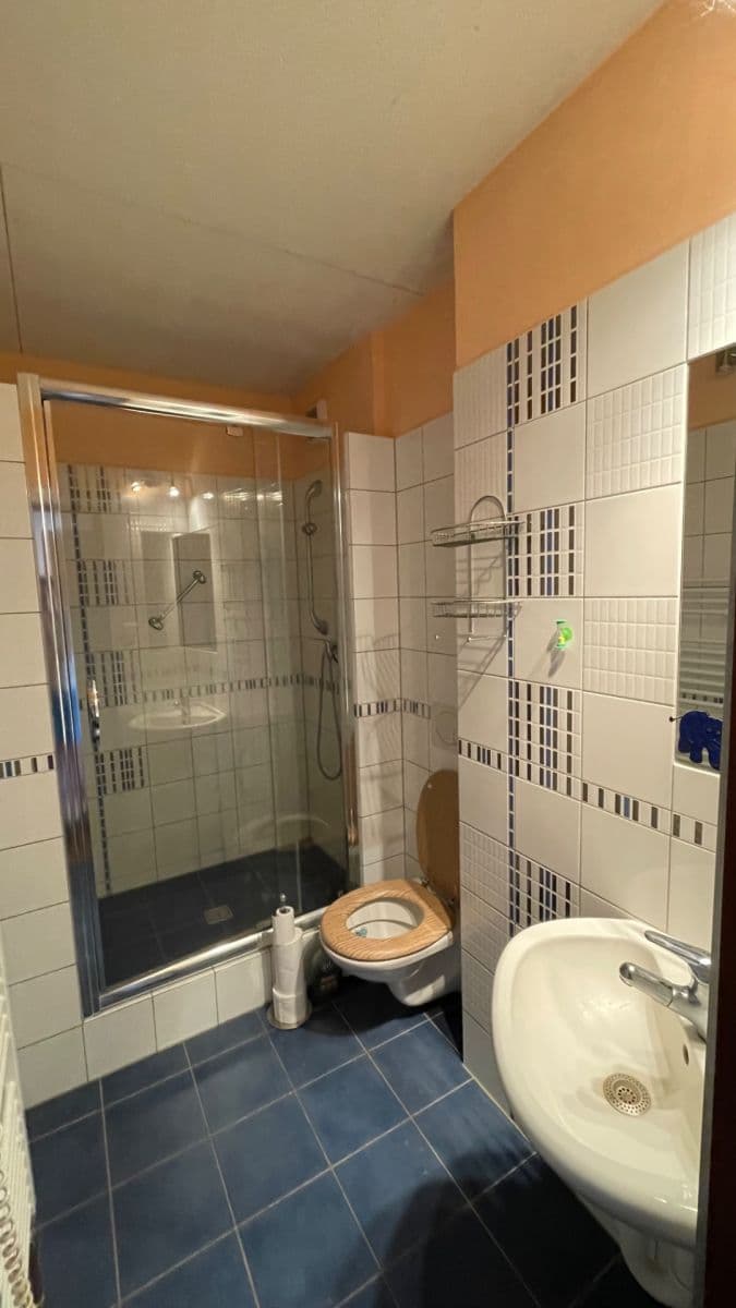 house for sale, 170 m², Ke Chlumu, Tábor, Jihočeský Region house for sale, 170 m², Ke Chlumu, Tábor, Jihočeský Region