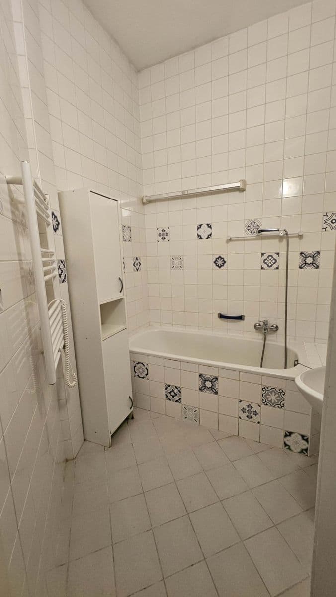 1 bedroom with open-plan kitchen flat to rent, 42 m², Horní, Prague, Prague 1 bedroom with open-plan kitchen flat to rent, 42 m², Horní, Prague, Prague