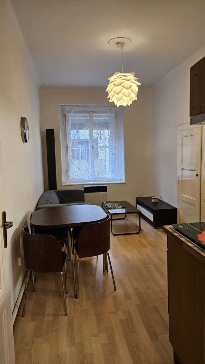 1 bedroom with open-plan kitchen flat to rent, 42 m², Horní, Prague, Prague 1 bedroom with open-plan kitchen flat to rent, 42 m², Horní, Prague, Prague
