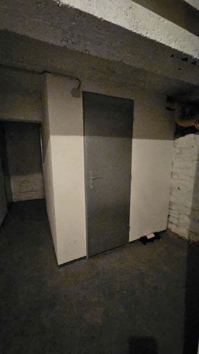 1 bedroom with open-plan kitchen flat to rent, 42 m², Horní, Prague, Prague 1 bedroom with open-plan kitchen flat to rent, 42 m², Horní, Prague, Prague