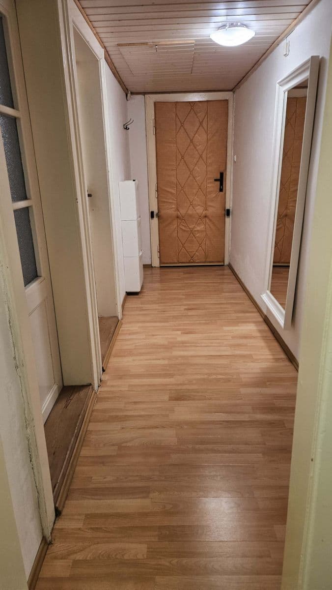 1 bedroom with open-plan kitchen flat to rent, 42 m², Horní, Prague, Prague 1 bedroom with open-plan kitchen flat to rent, 42 m², Horní, Prague, Prague