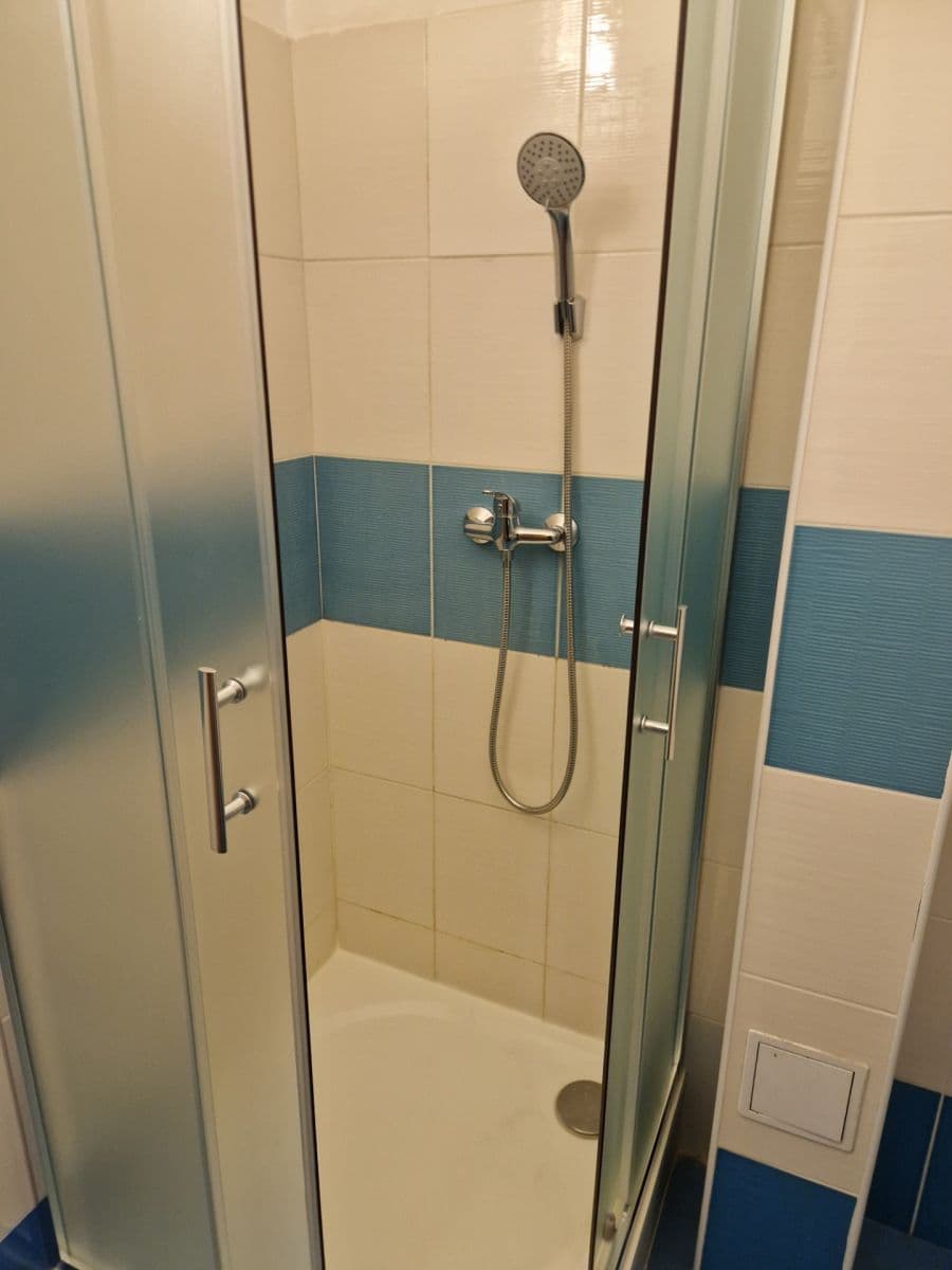 1 bedroom with open-plan kitchen flat to rent, 53 m², Na Maninách, Prague, Prague 1 bedroom with open-plan kitchen flat to rent, 53 m², Na Maninách, Prague, Prague