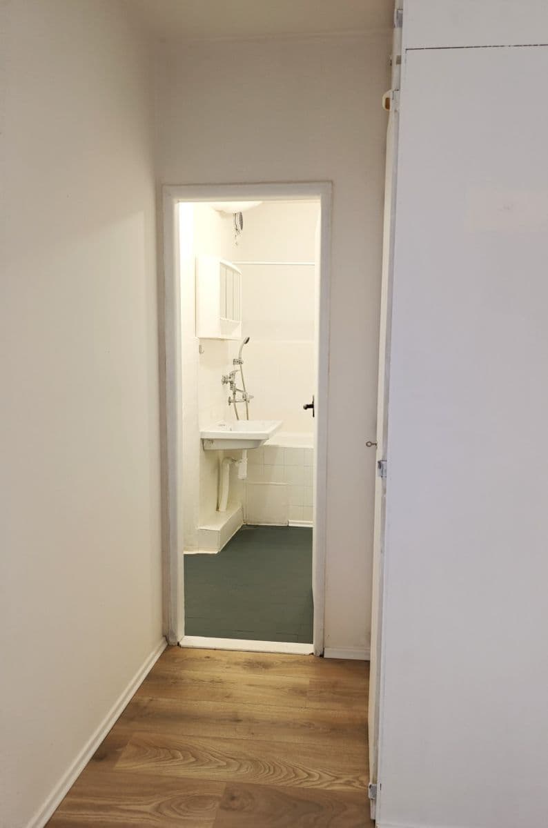 1 bedroom with open-plan kitchen flat to rent, 38 m², Sládkovičova, Prague, Prague 1 bedroom with open-plan kitchen flat to rent, 38 m², Sládkovičova, Prague, Prague