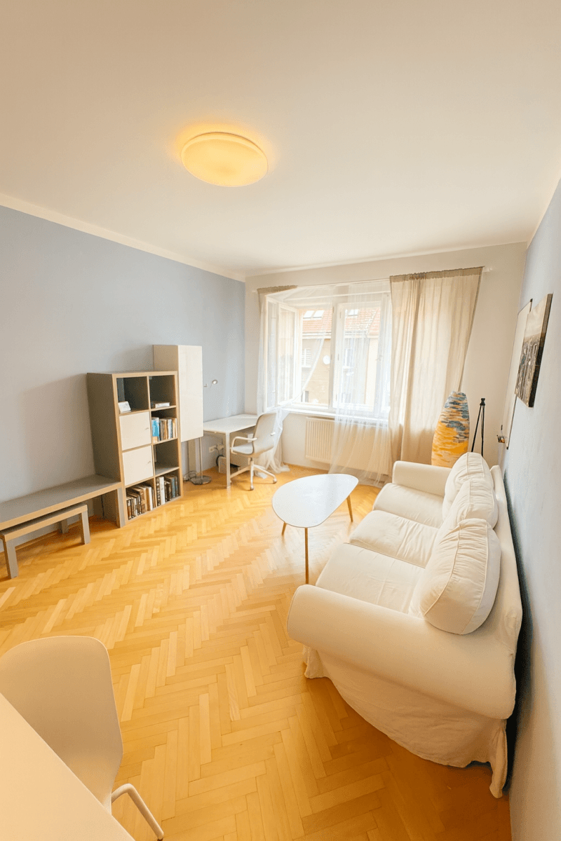 1 bedroom with open-plan kitchen flat to rent, 55 m², Hájkova, Prague, Prague 1 bedroom with open-plan kitchen flat to rent, 55 m², Hájkova, Prague, Prague