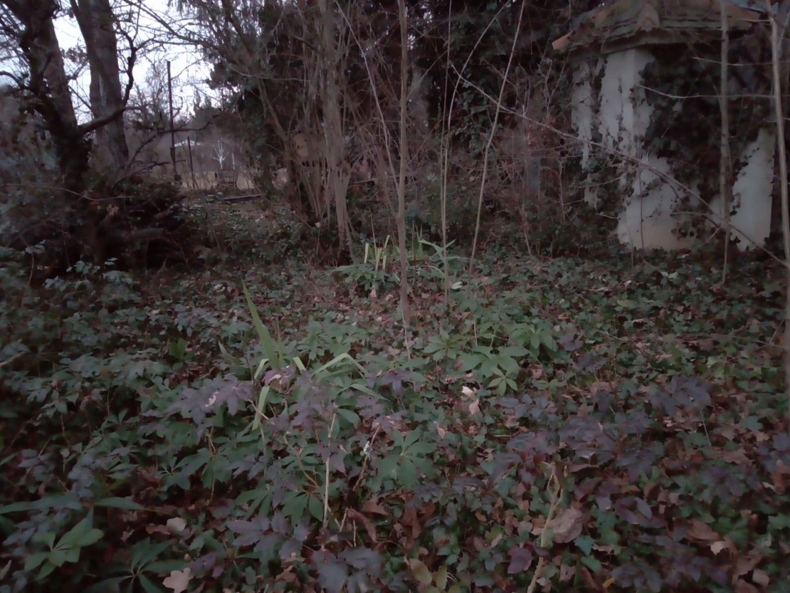 plot to rent, 568 m², Brno, Jihomoravský Region plot to rent, 568 m², Brno, Jihomoravský Region