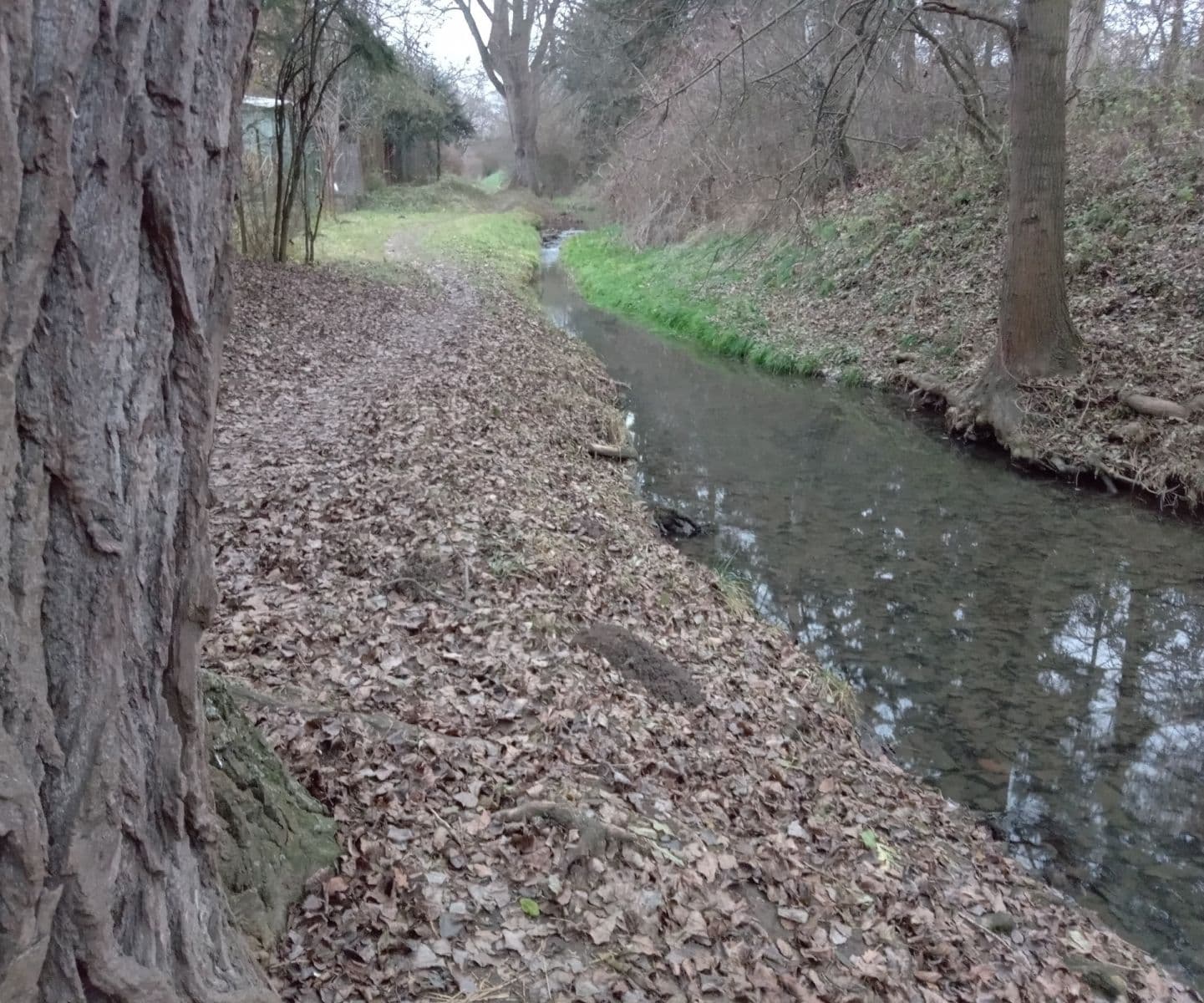 plot to rent, 568 m², Brno, Jihomoravský Region plot to rent, 568 m², Brno, Jihomoravský Region