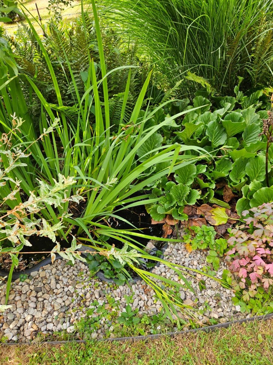 recreational property for sale, 461 m², K Pazderkám, Prague, Prague recreational property for sale, 461 m², K Pazderkám, Prague, Prague