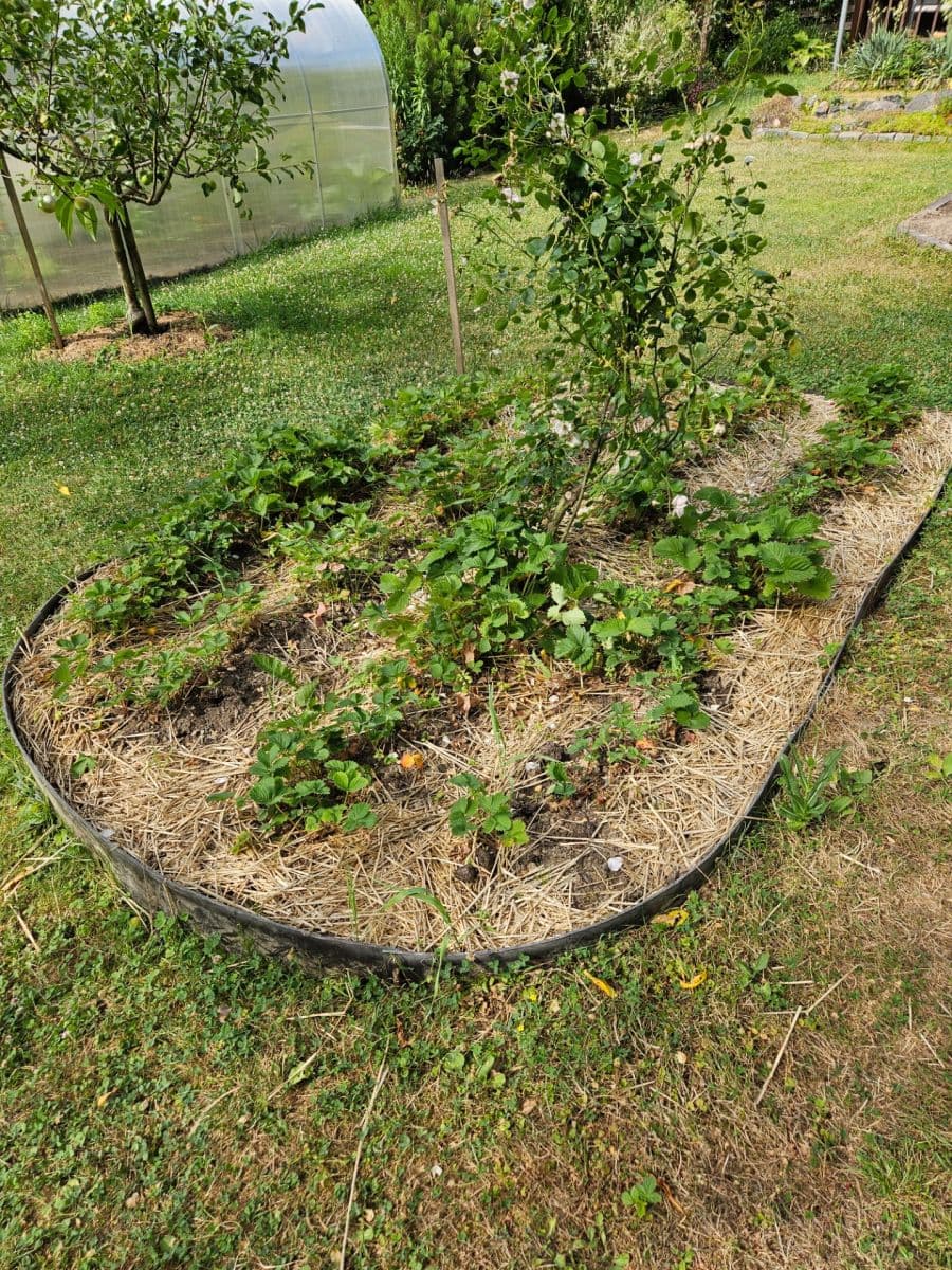 recreational property for sale, 461 m², K Pazderkám, Prague, Prague recreational property for sale, 461 m², K Pazderkám, Prague, Prague