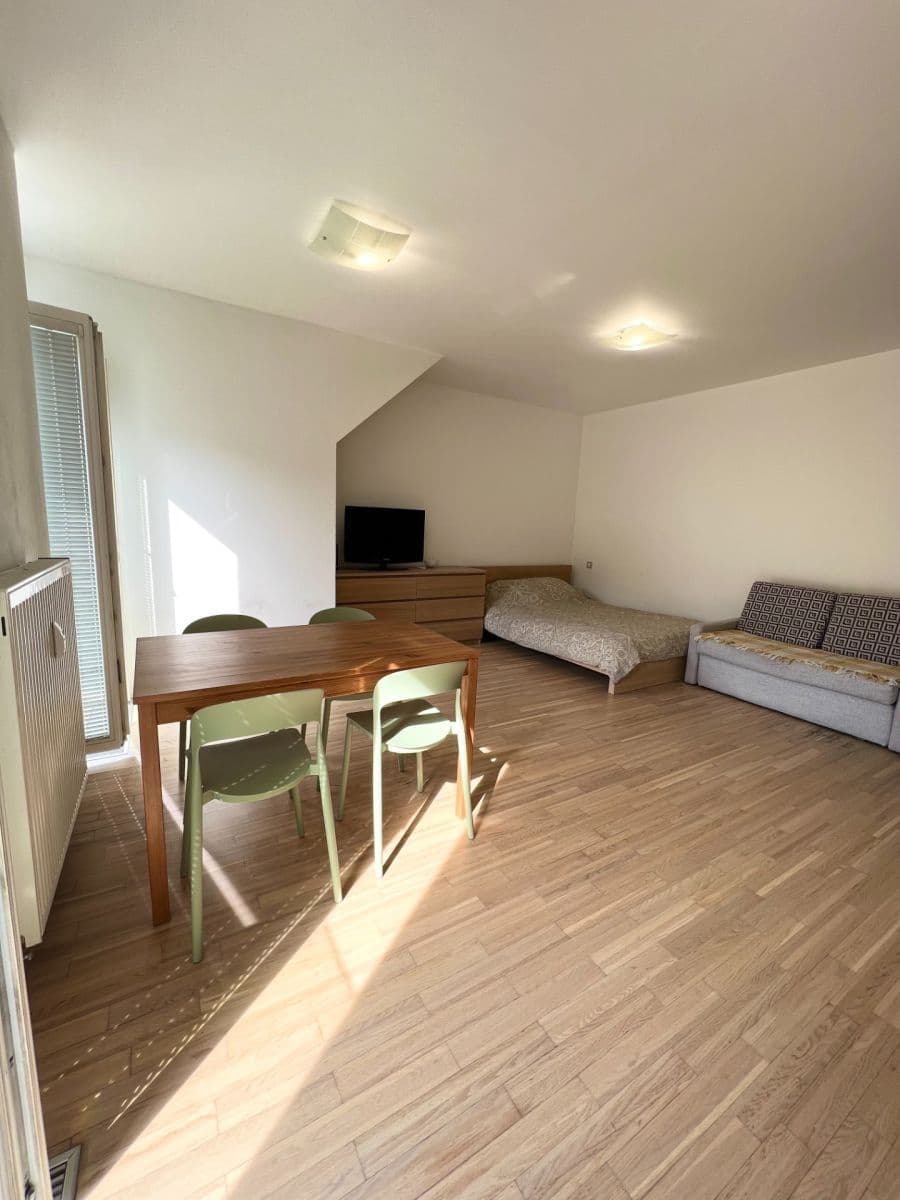 Studio flat to rent, 38 m², Bořivojova, Prague, Prague Studio flat to rent, 38 m², Bořivojova, Prague, Prague