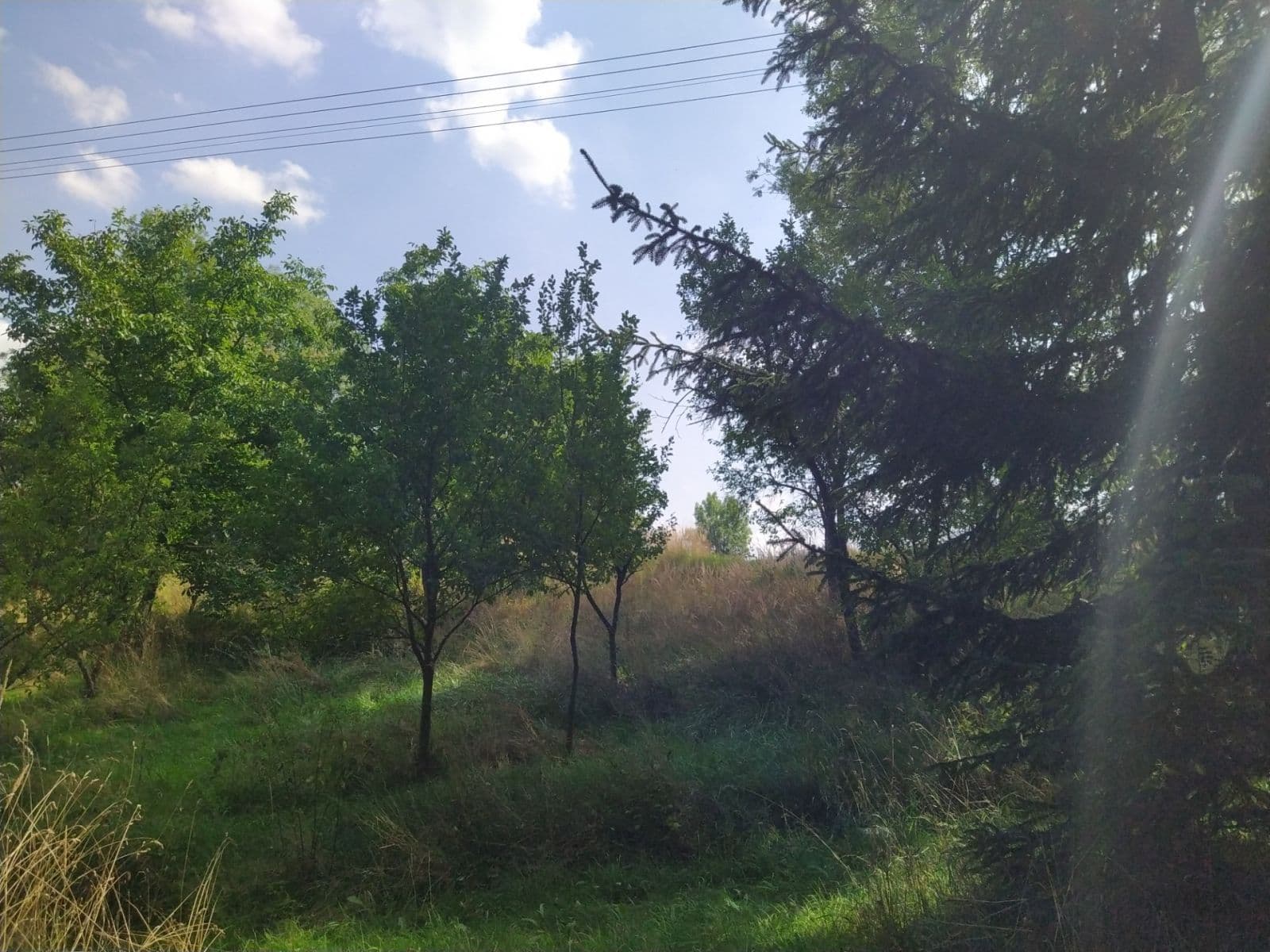 plot for sale, 4,902 m², Moravská Třebová, Pardubický Region plot for sale, 4,902 m², Moravská Třebová, Pardubický Region