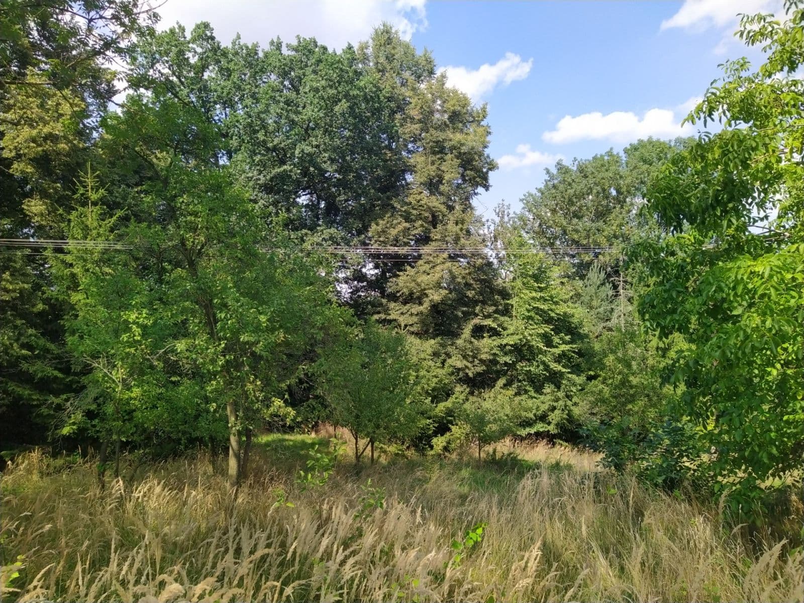 plot for sale, 4,902 m², Moravská Třebová, Pardubický Region plot for sale, 4,902 m², Moravská Třebová, Pardubický Region