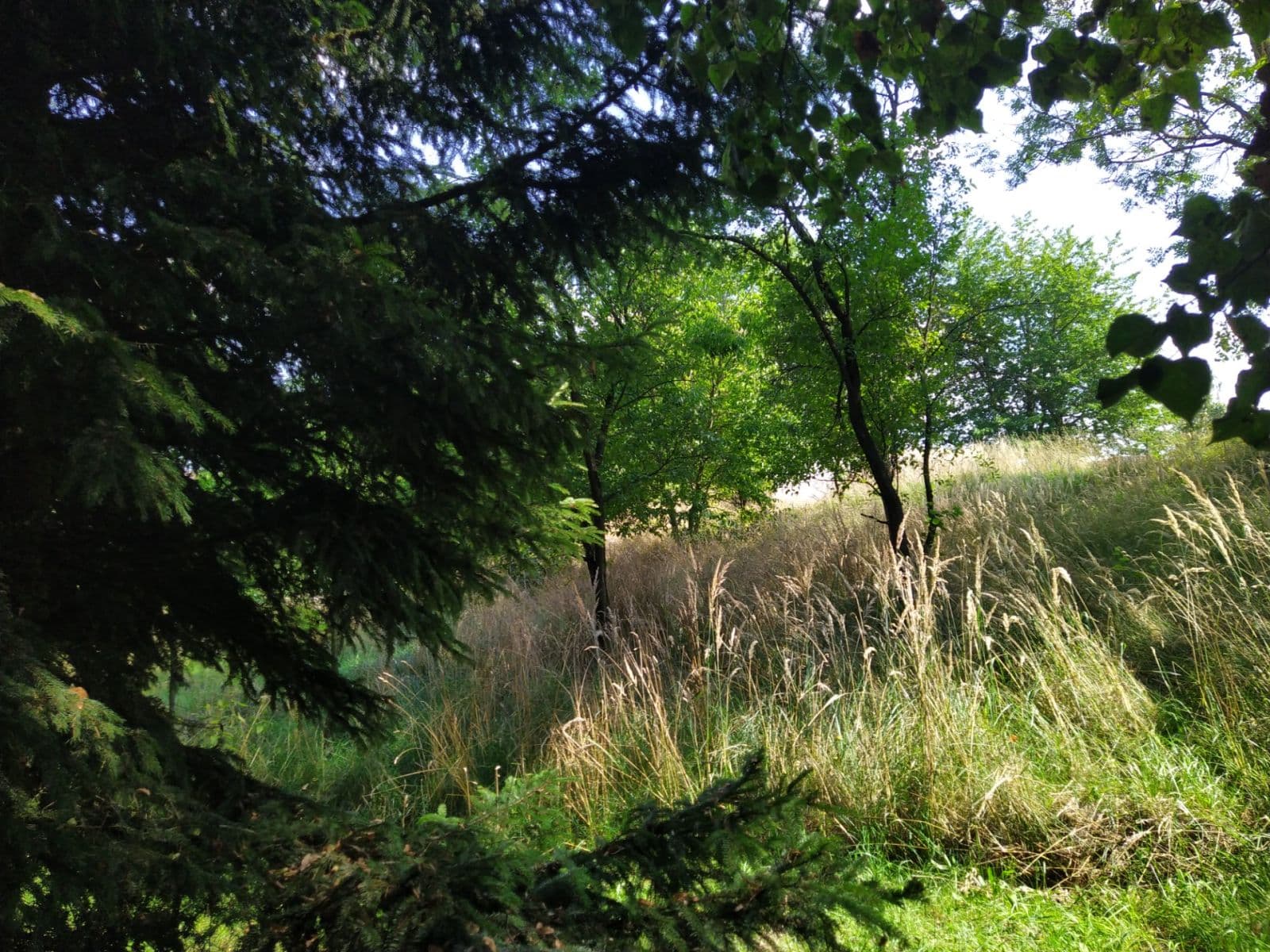 plot for sale, 4,902 m², Moravská Třebová, Pardubický Region plot for sale, 4,902 m², Moravská Třebová, Pardubický Region