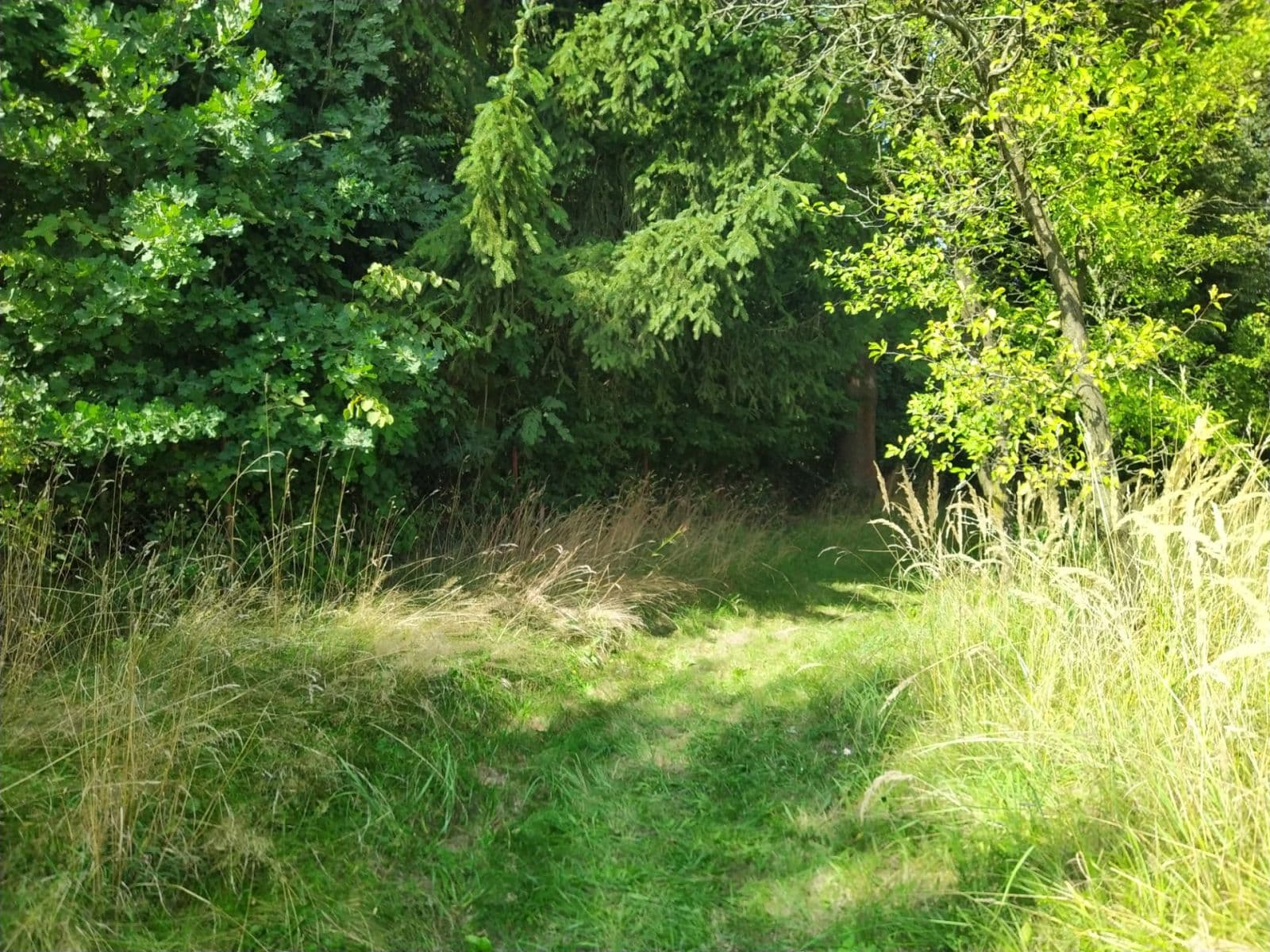 plot for sale, 4,902 m², Moravská Třebová, Pardubický Region plot for sale, 4,902 m², Moravská Třebová, Pardubický Region