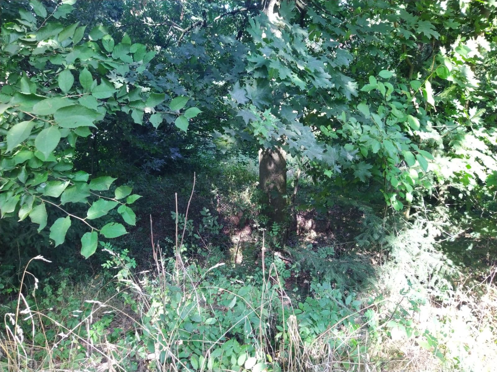 plot for sale, 4,902 m², Moravská Třebová, Pardubický Region plot for sale, 4,902 m², Moravská Třebová, Pardubický Region