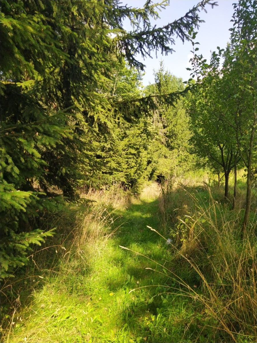 plot for sale, 4,902 m², Moravská Třebová, Pardubický Region plot for sale, 4,902 m², Moravská Třebová, Pardubický Region