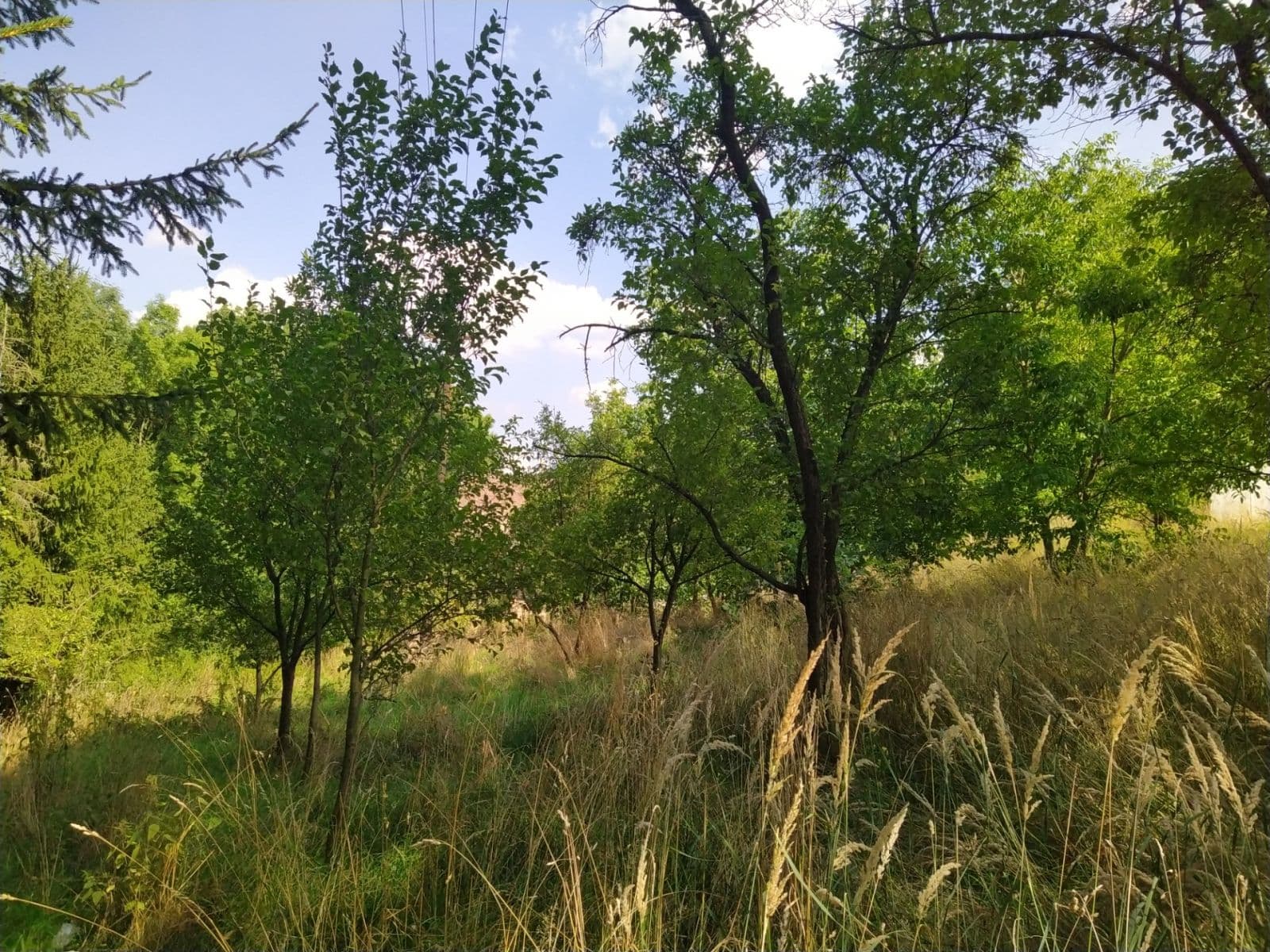 plot for sale, 4,902 m², Moravská Třebová, Pardubický Region plot for sale, 4,902 m², Moravská Třebová, Pardubický Region