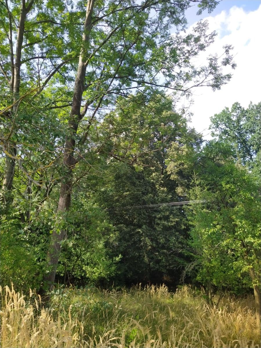 plot for sale, 4,902 m², Moravská Třebová, Pardubický Region plot for sale, 4,902 m², Moravská Třebová, Pardubický Region