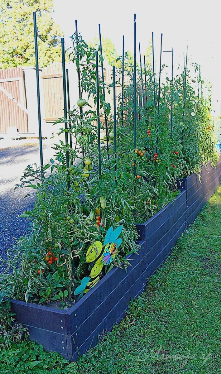 1 bedroom with open-plan kitchen flat to rent, 50 m², Novozámecká, Prague, Prague 1 bedroom with open-plan kitchen flat to rent, 50 m², Novozámecká, Prague, Prague