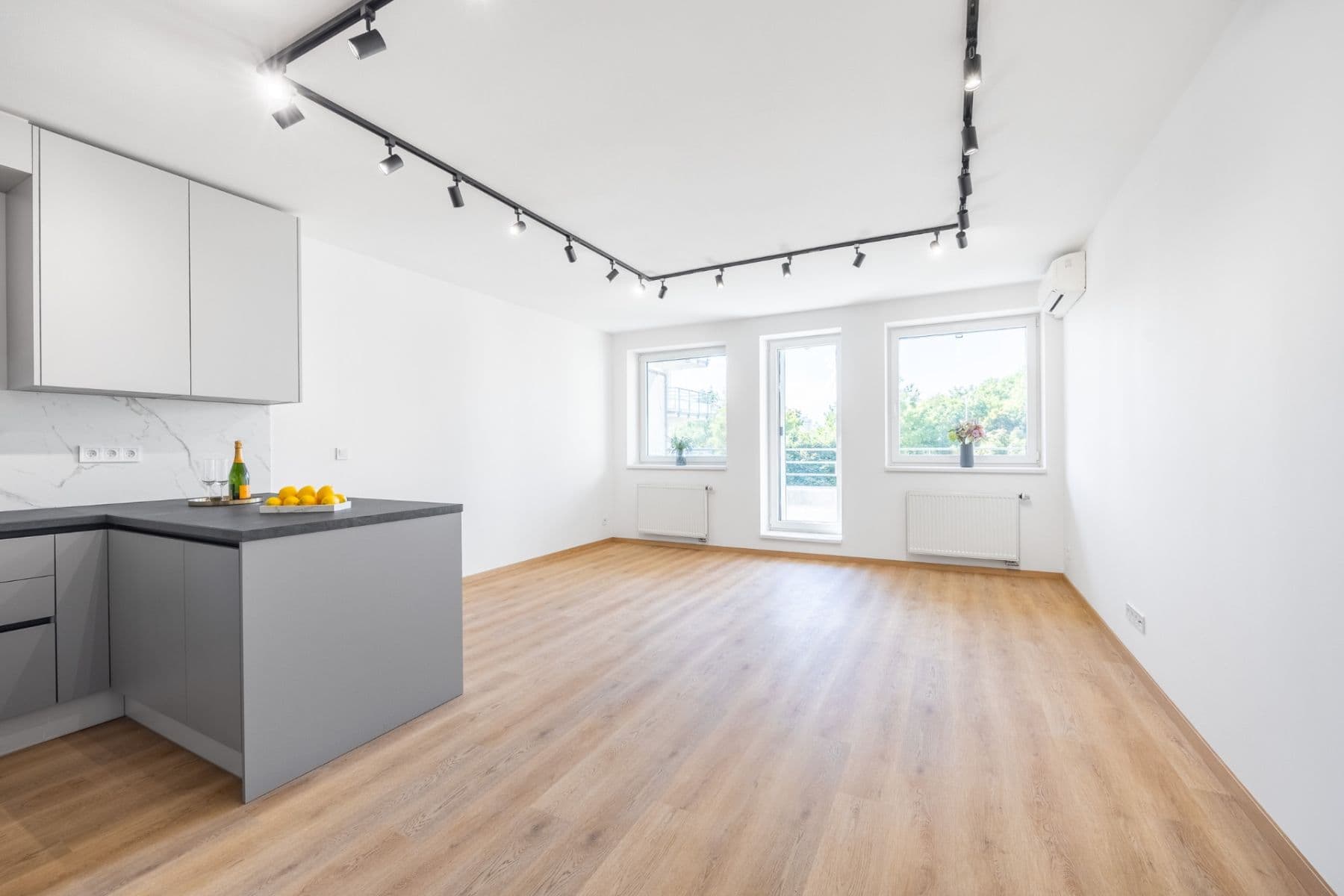 2 bedroom with open-plan kitchen flat for sale, 92 m², Pražská, Prague, Prague 2 bedroom with open-plan kitchen flat for sale, 92 m², Pražská, Prague, Prague