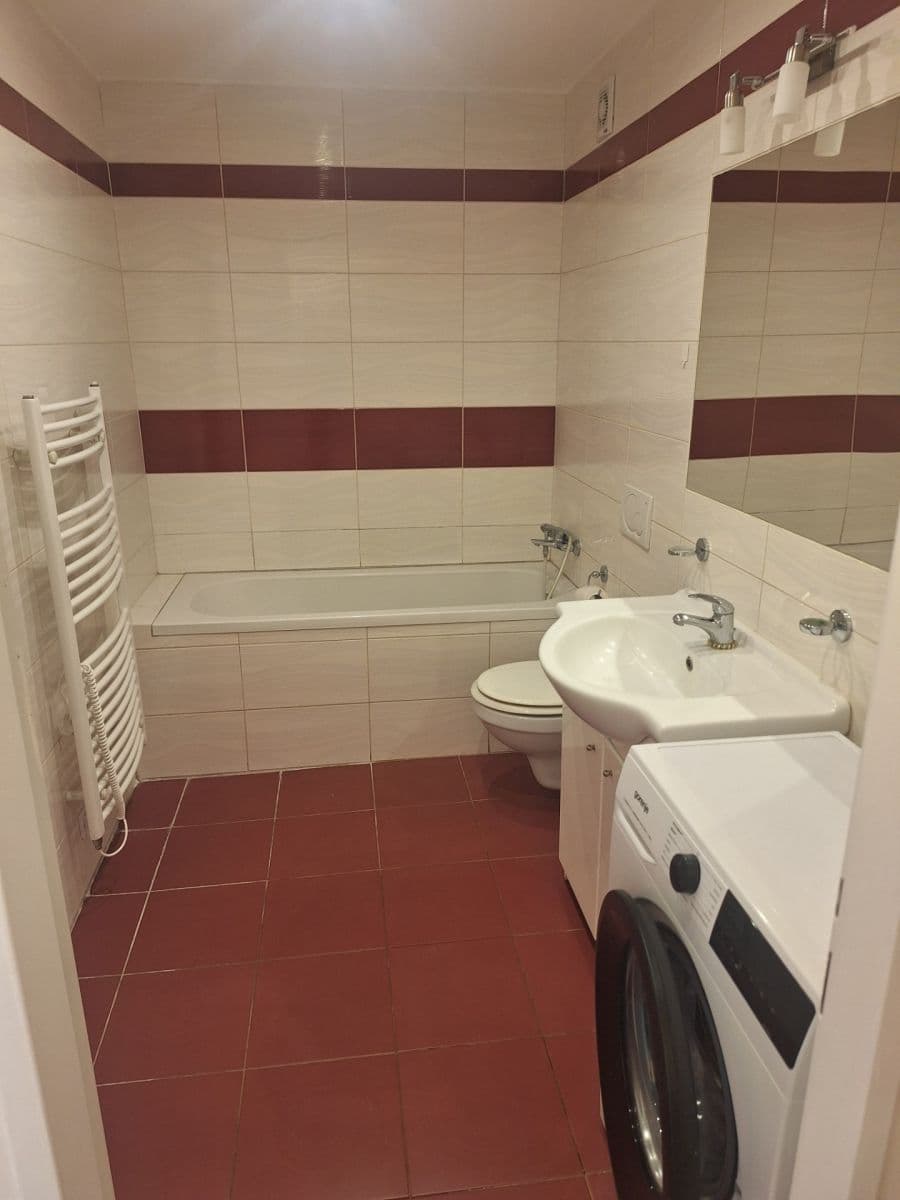 1 bedroom with open-plan kitchen flat for sale, 47 m², Erbenova, Brno, Jihomoravský Region 1 bedroom with open-plan kitchen flat for sale, 47 m², Erbenova, Brno, Jihomoravský Region