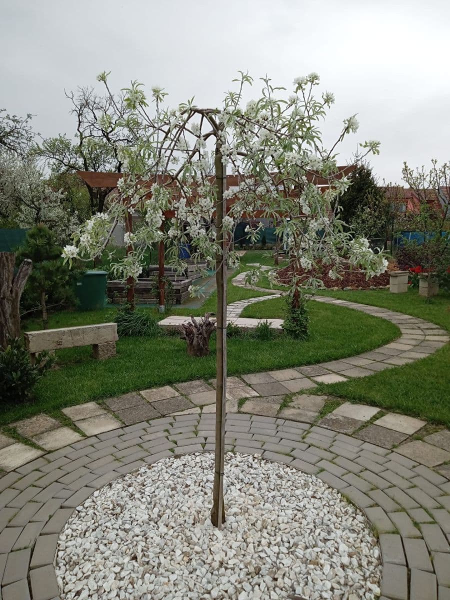 house for sale, 92 m², Komenského, Šlapanice, Jihomoravský Region house for sale, 92 m², Komenského, Šlapanice, Jihomoravský Region