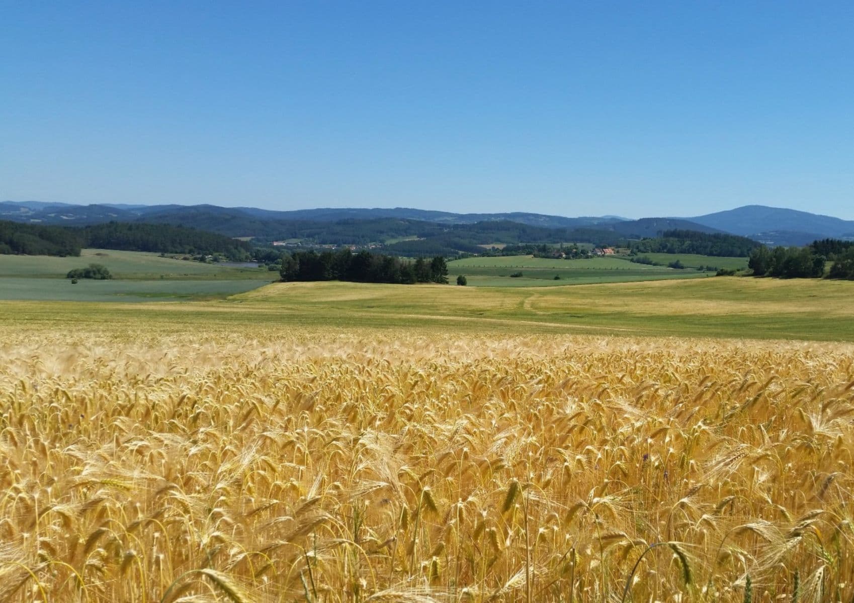 plot for sale, 2,502 m², Lipovice, Jihočeský Region plot for sale, 2,502 m², Lipovice, Jihočeský Region