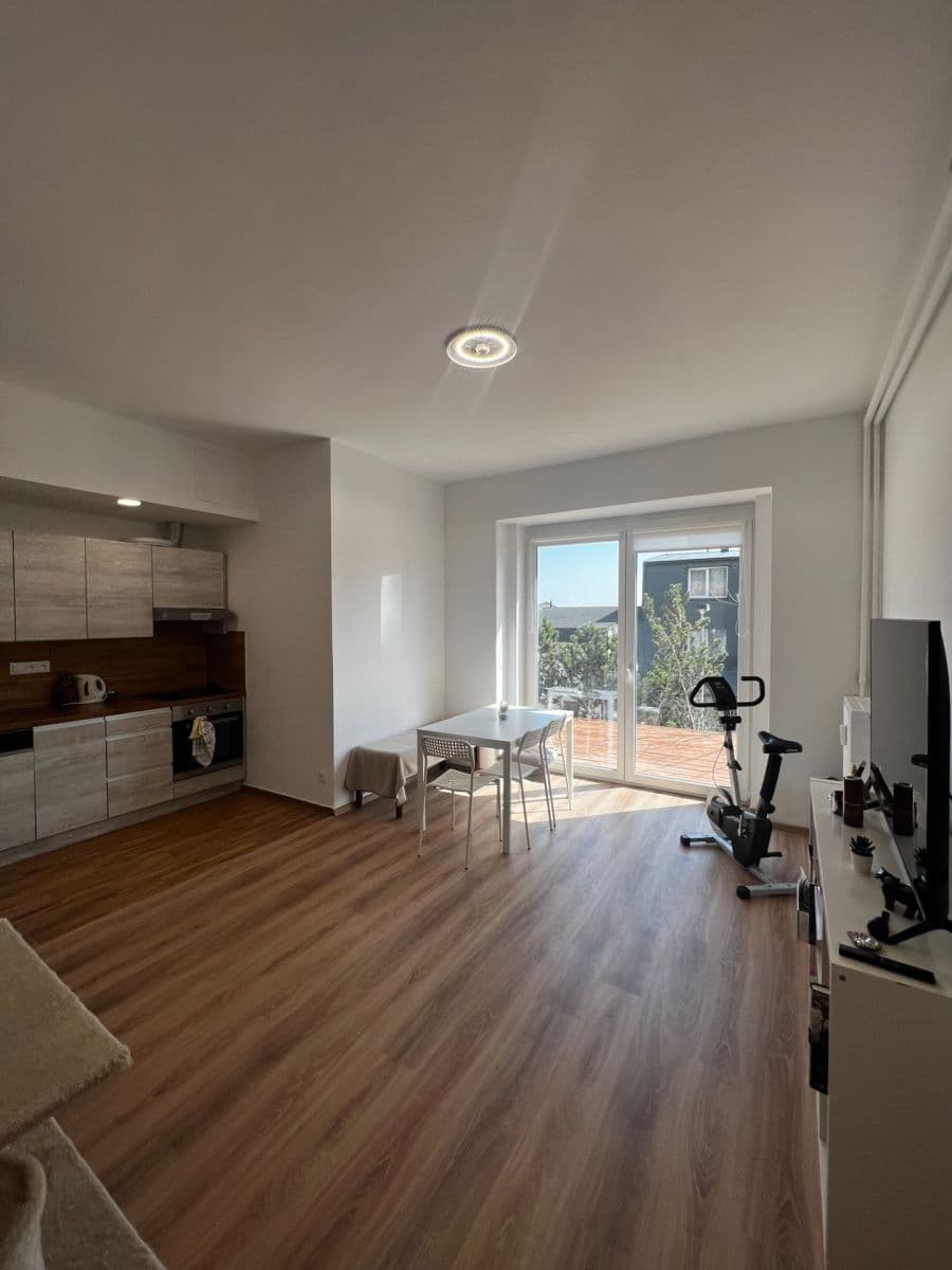 1 bedroom with open-plan kitchen flat to rent, 50 m², Markova, Prague, Prague 1 bedroom with open-plan kitchen flat to rent, 50 m², Markova, Prague, Prague
