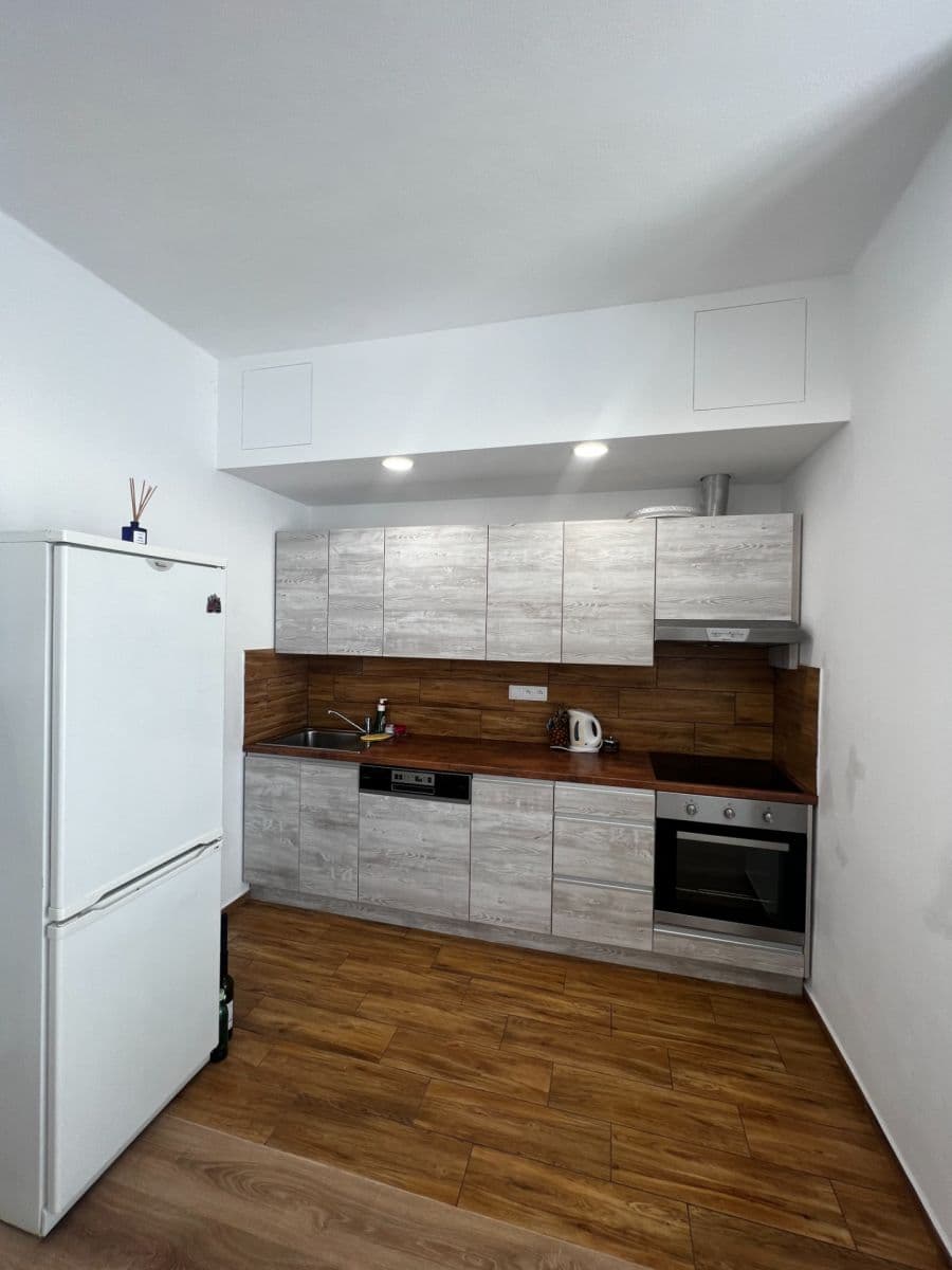 1 bedroom with open-plan kitchen flat to rent, 50 m², Markova, Prague, Prague 1 bedroom with open-plan kitchen flat to rent, 50 m², Markova, Prague, Prague