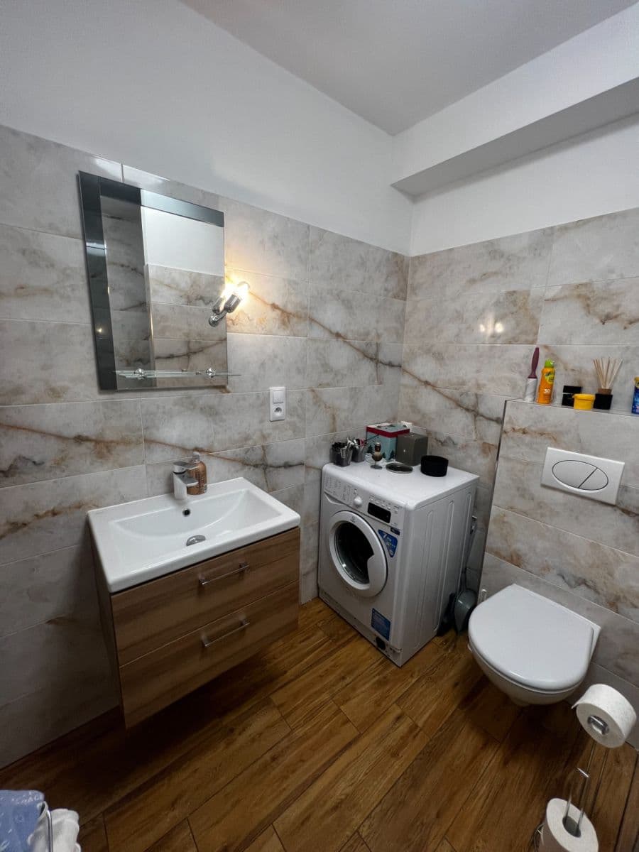 1 bedroom with open-plan kitchen flat to rent, 50 m², Markova, Prague, Prague 1 bedroom with open-plan kitchen flat to rent, 50 m², Markova, Prague, Prague