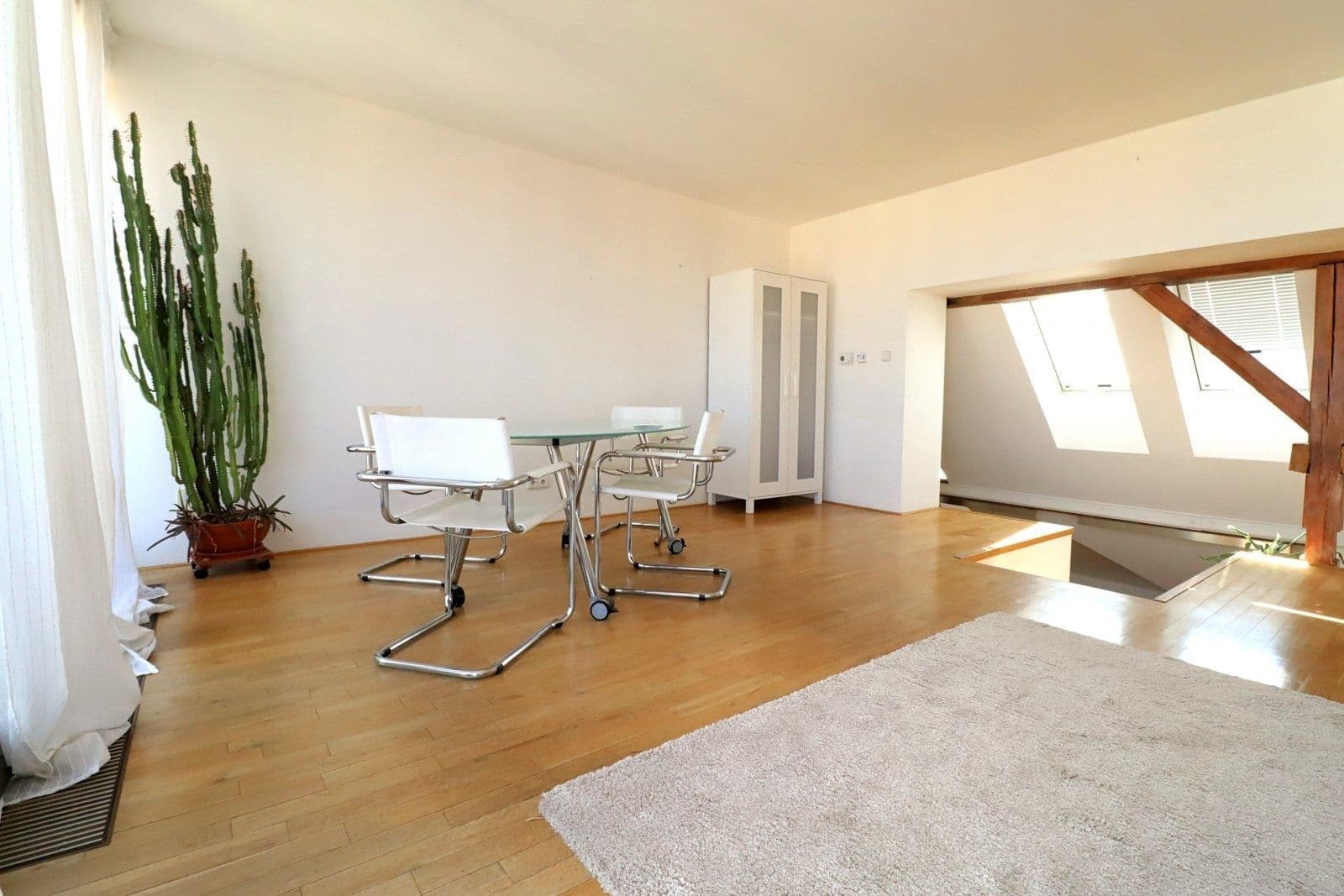 1 bedroom with open-plan kitchen flat to rent, 70 m², U garáží, Prague, Prague 1 bedroom with open-plan kitchen flat to rent, 70 m², U garáží, Prague, Prague