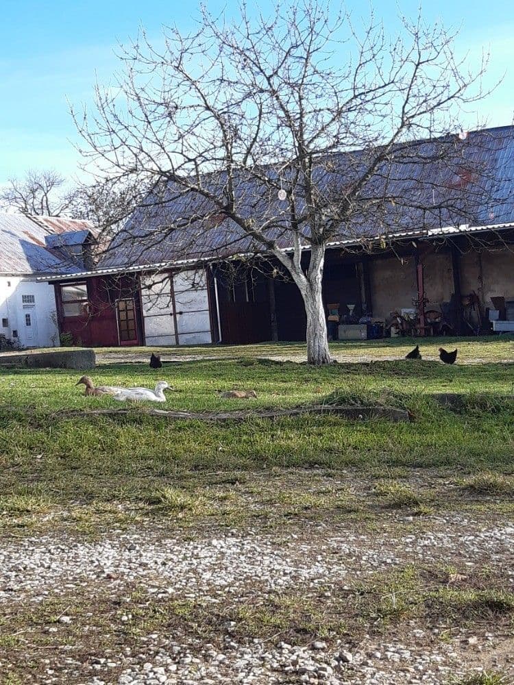 non-residential property to rent, 200 m², Stříbrná Lhota, Mníšek pod Brdy, Středočeský Region non-residential property to rent, 200 m², Stříbrná Lhota, Mníšek pod Brdy, Středočeský Region