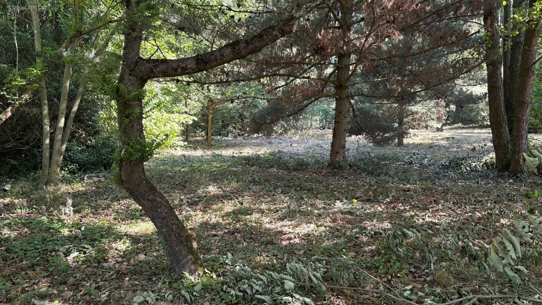 plot for sale, 3,385 m², Plzeň, Plzeňský Region plot for sale, 3,385 m², Plzeň, Plzeňský Region