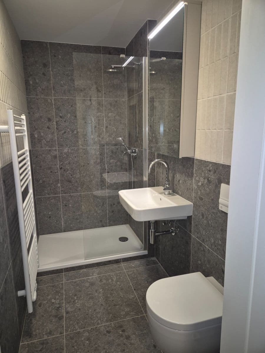 Studio flat to rent, 37 m², Bratislavská, Brno, Jihomoravský Region Studio flat to rent, 37 m², Bratislavská, Brno, Jihomoravský Region