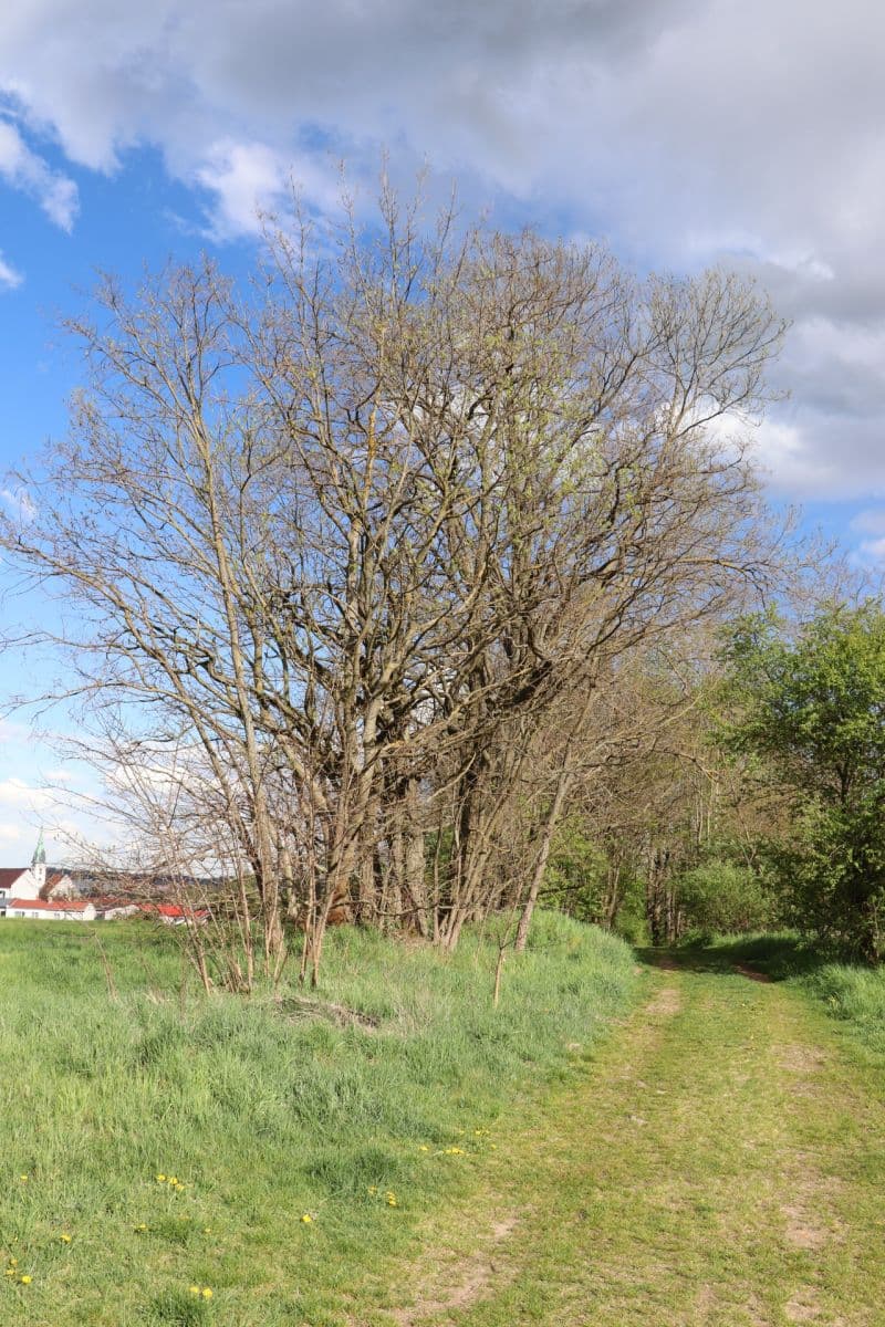 flat for sale, 65 m², Jakubská, Jindřichův Hradec, Jihočeský Region flat for sale, 65 m², Jakubská, Jindřichův Hradec, Jihočeský Region