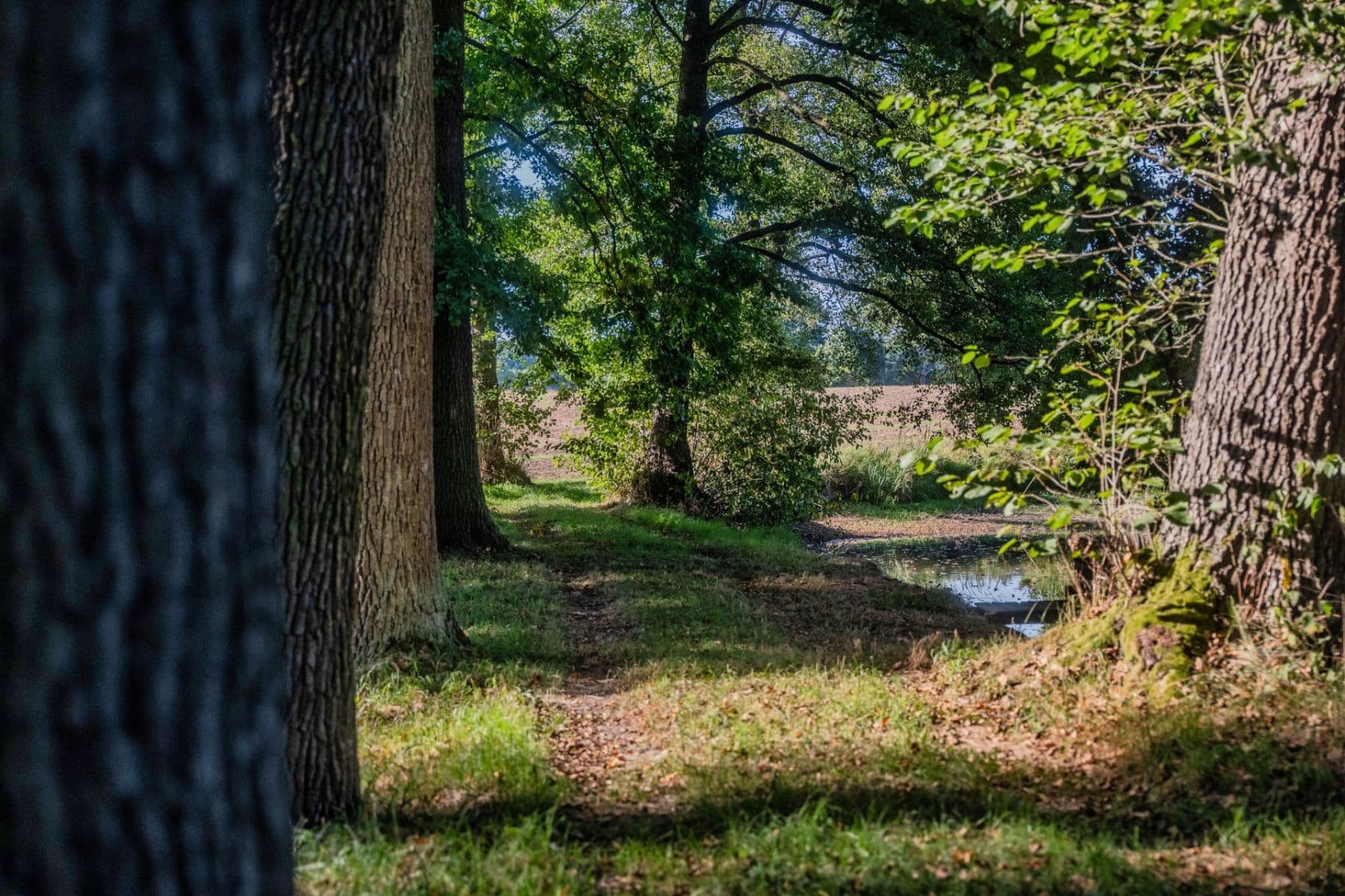 plot for sale, 2,102 m², Lásenice, Jihočeský Region plot for sale, 2,102 m², Lásenice, Jihočeský Region