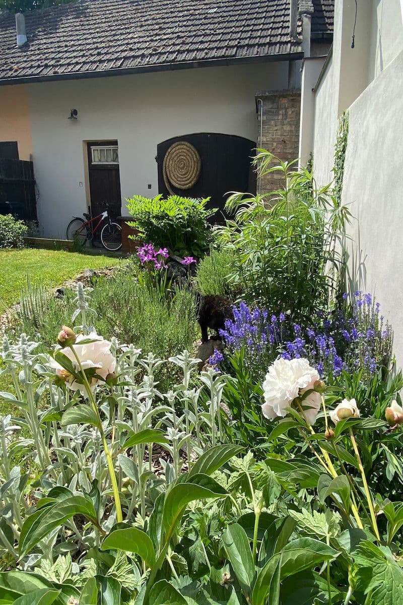 house for sale, 80 m², Ovčáry, Středočeský Region house for sale, 80 m², Ovčáry, Středočeský Region