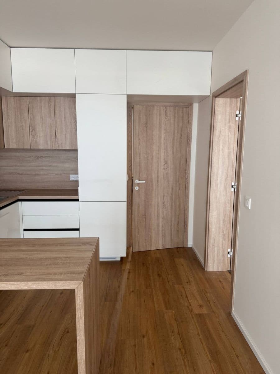 1 bedroom with open-plan kitchen flat to rent, 55 m², Dřevčická, Brandýs nad Labem-Stará Boleslav, Středočeský Region 1 bedroom with open-plan kitchen flat to rent, 55 m², Dřevčická, Brandýs nad Labem-Stará Boleslav, Středočeský Region