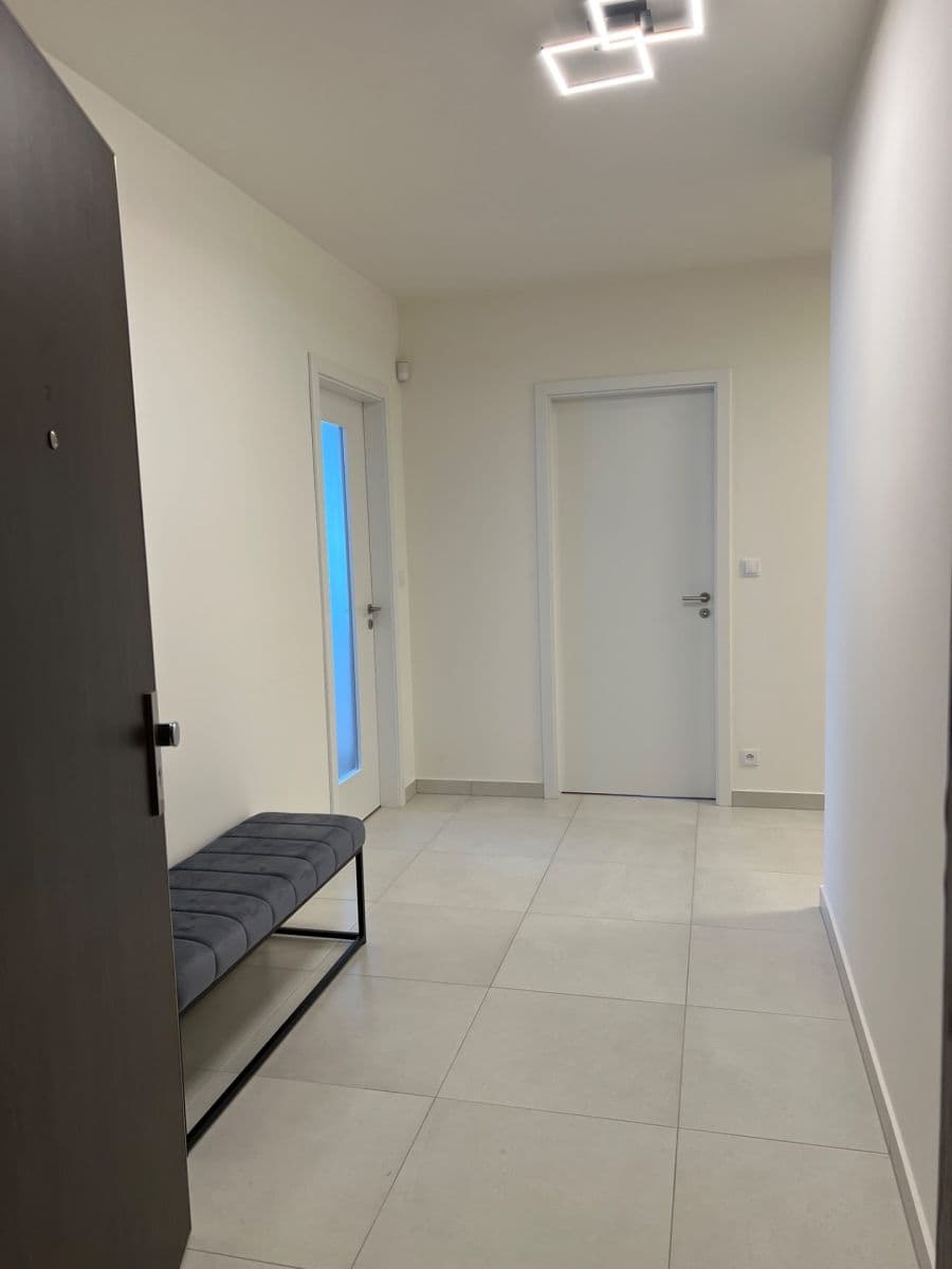 2 bedroom with open-plan kitchen flat to rent, 100 m², Pavla Beneše, Prague, Prague 2 bedroom with open-plan kitchen flat to rent, 100 m², Pavla Beneše, Prague, Prague