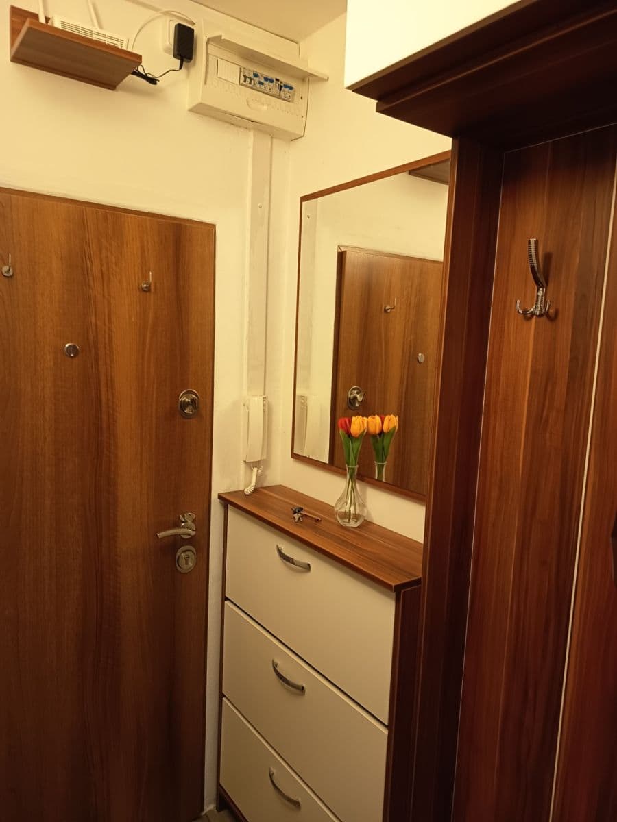 1 bedroom flat to rent, 32 m², Wollmanova, Brno, Jihomoravský Region 1 bedroom flat to rent, 32 m², Wollmanova, Brno, Jihomoravský Region