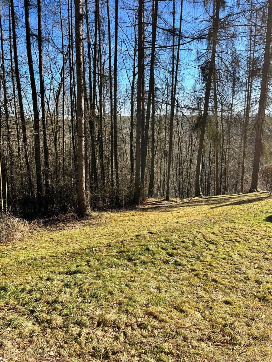 house for sale, 50 m², Boršov nad Vltavou, Jihočeský Region house for sale, 50 m², Boršov nad Vltavou, Jihočeský Region