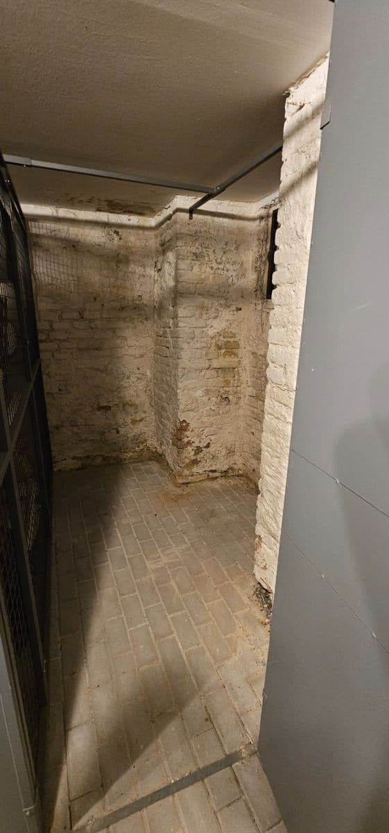 1 bedroom with open-plan kitchen flat for sale, 55 m², Šlikova, Prague, Prague 1 bedroom with open-plan kitchen flat for sale, 55 m², Šlikova, Prague, Prague