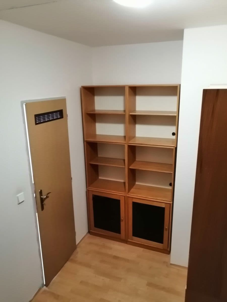 1 bedroom with open-plan kitchen flat to rent, 47 m², třída Generála Píky, Brno, Jihomoravský Region 1 bedroom with open-plan kitchen flat to rent, 47 m², třída Generála Píky, Brno, Jihomoravský Region