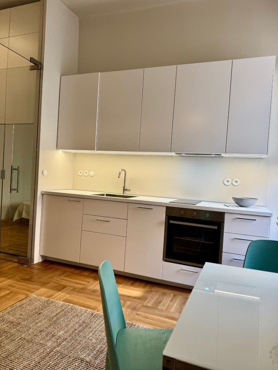 1 bedroom with open-plan kitchen flat to rent, 40 m², Budečská, Prague, Prague 1 bedroom with open-plan kitchen flat to rent, 40 m², Budečská, Prague, Prague