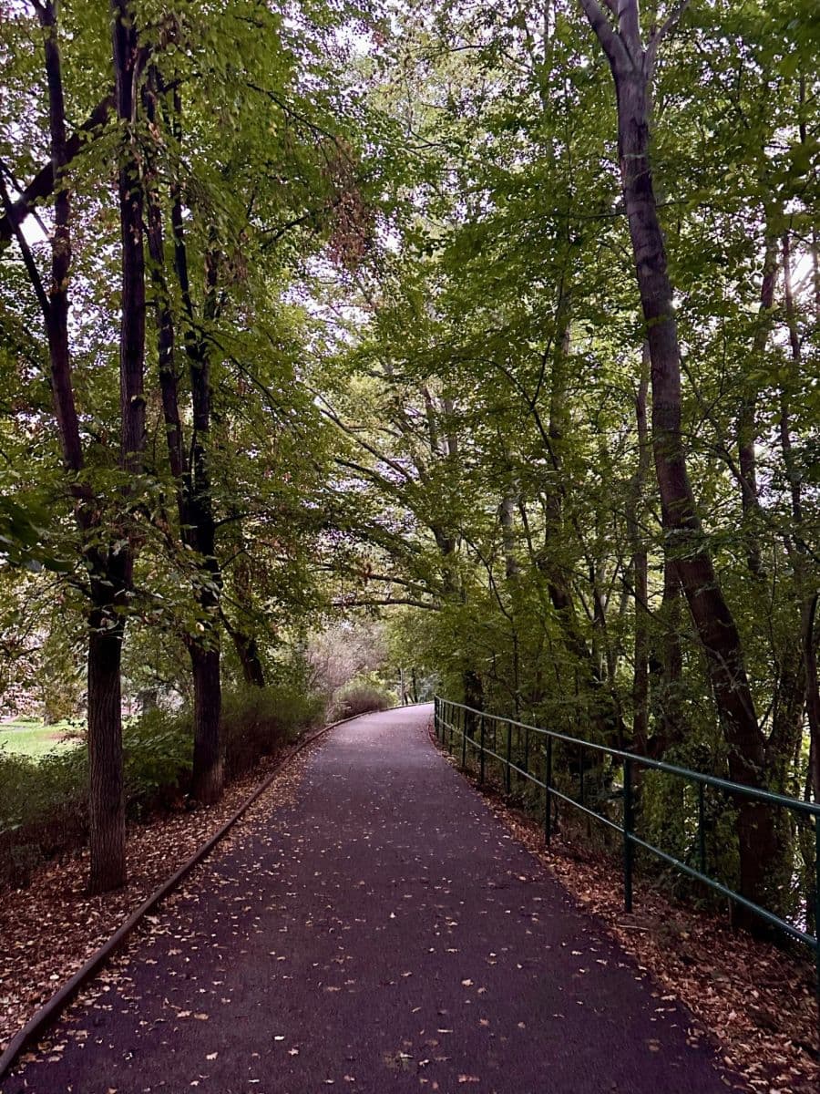 1 bedroom with open-plan kitchen flat for sale, 58 m², Petrohradská, Prague, Prague 1 bedroom with open-plan kitchen flat for sale, 58 m², Petrohradská, Prague, Prague