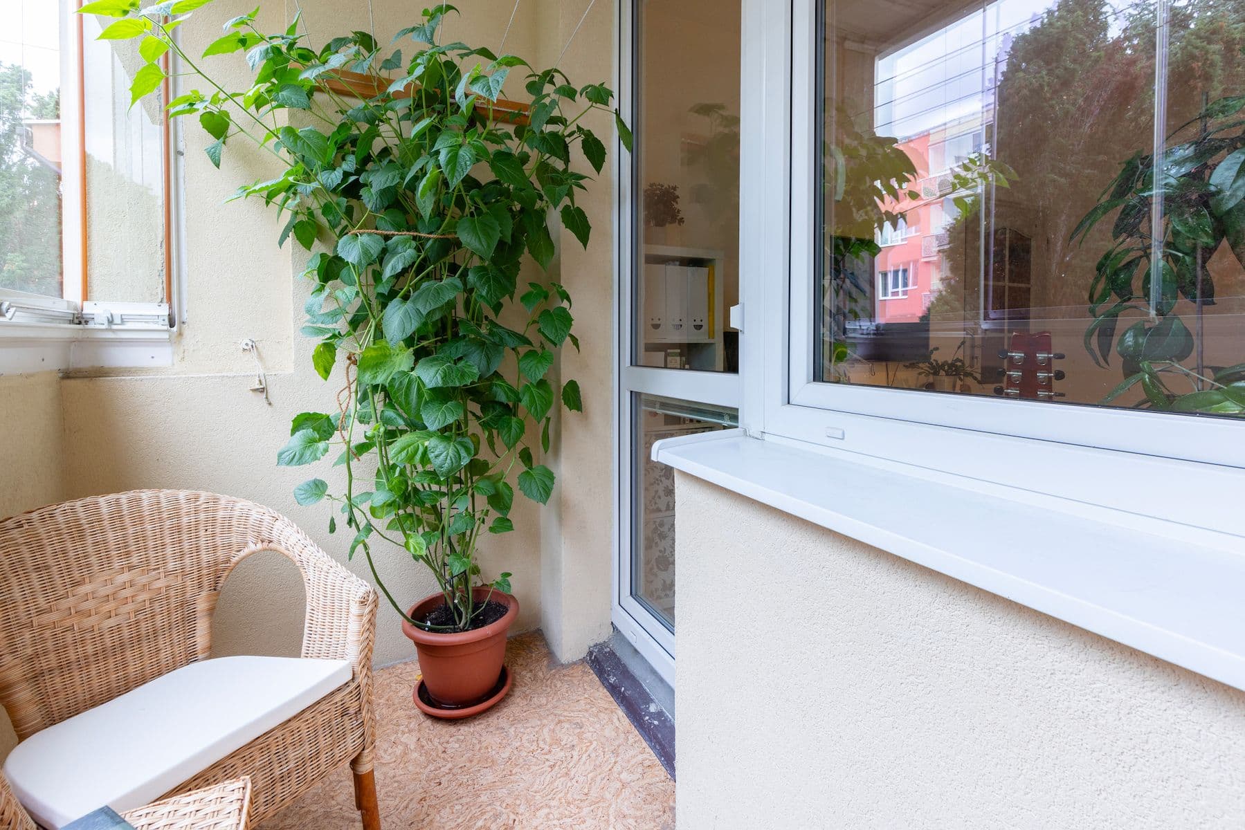 3 bedroom flat for sale, 70 m², Tasovská, Prague, Prague 3 bedroom flat for sale, 70 m², Tasovská, Prague, Prague